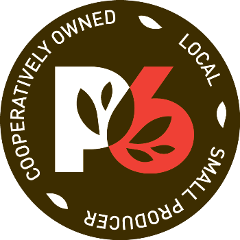 P6 Logo